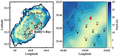 Coral Reef Carbonate Chemistry Variability at Different Functional Scales